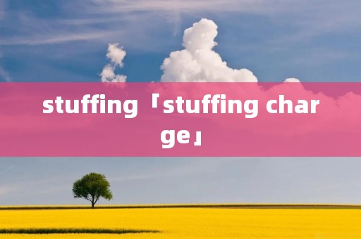 stuffing「stuffing charge」 stuffing「stuffing charge」