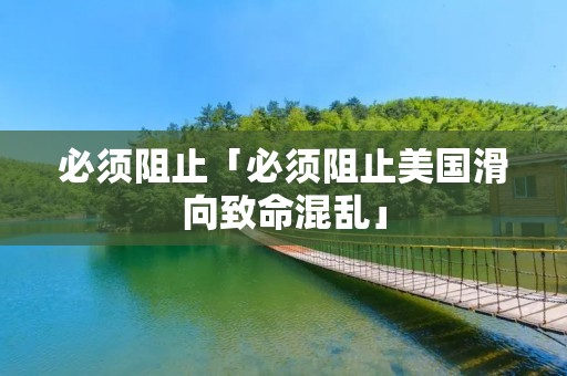 必须阻止「必须阻止美国滑向致命混乱」 必须阻止「必须阻止美国滑向致命混乱」