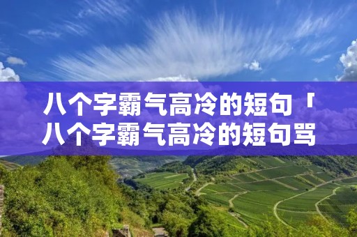 八个字霸气高冷的短句「八个字霸气高冷的短句骂人」