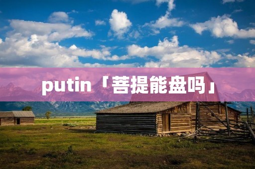 putin「菩提能盘吗」
