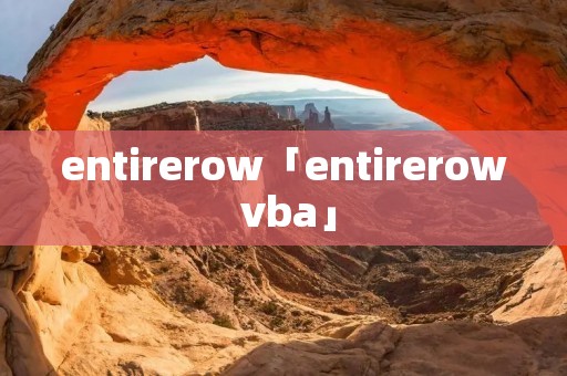 entirerow「entirerow vba」
