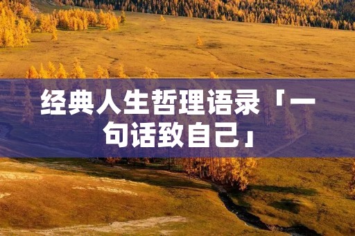 经典人生哲理语录「一句话致自己」 经典人生哲理语录「一句话致自己」