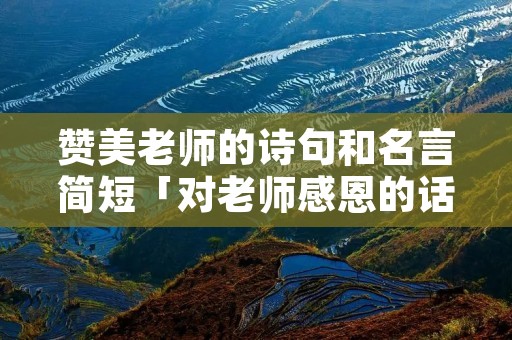赞美老师的诗句和名言简短「对老师感恩的话语 暖心 简短」