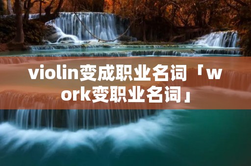 violin变成职业名词「work变职业名词」