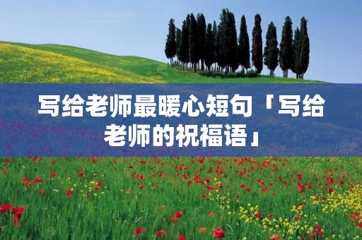 写给老师最暖心短句「写给老师的祝福语」