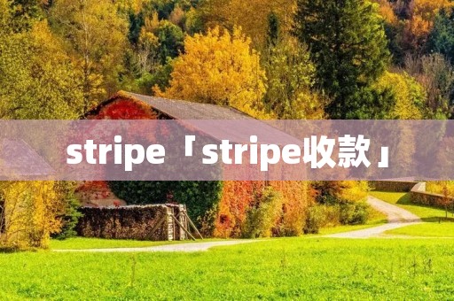 stripe「stripe收款」 stripe「stripe收款」