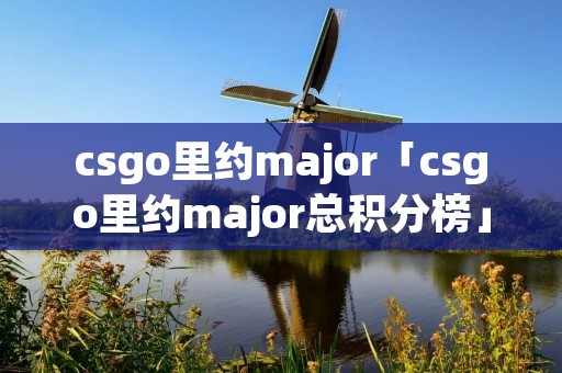 csgo里约major「csgo里约major总积分榜」