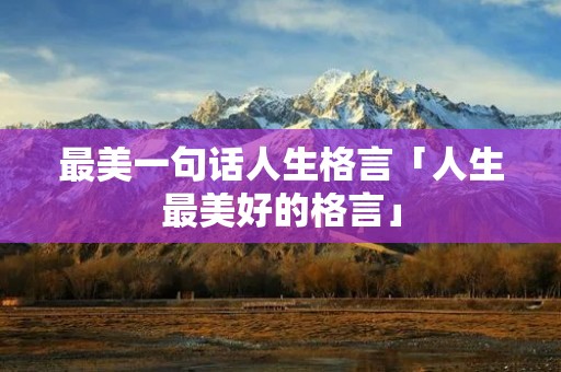 最美一句话人生格言「人生最美好的格言」