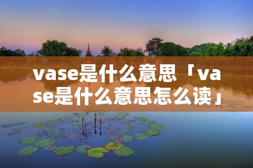 vase是什么意思「vase是什么意思怎么读」