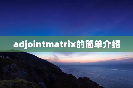 adjointmatrix的简单介绍