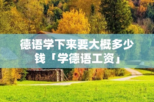德语学下来要大概多少钱「学德语工资」 德语学下来要大概多少钱「学德语工资」