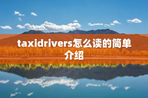 taxidrivers怎么读的简单介绍