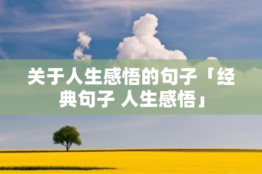关于人生感悟的句子「经典句子 人生感悟」