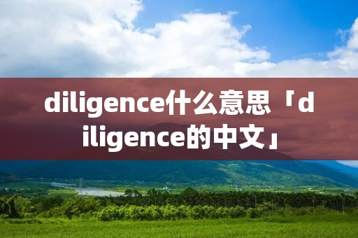 diligence什么意思「diligence的中文」