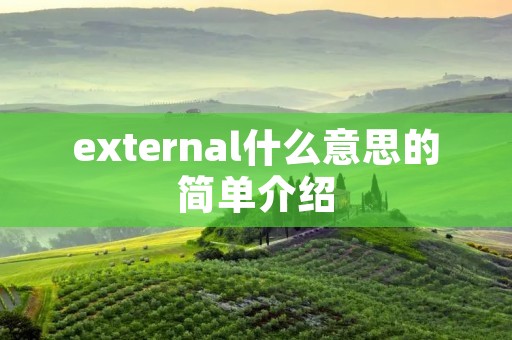 external什么意思的简单介绍