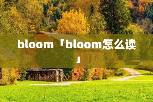 bloom「bloom怎么读」