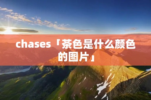 chases「茶色是什么颜色的图片」