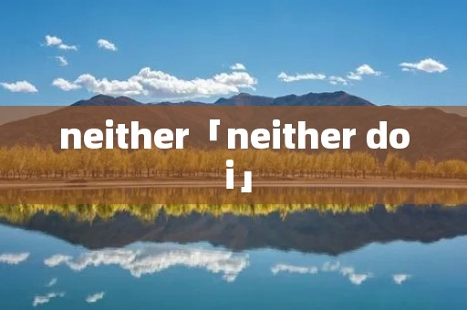 neither「neither do i」