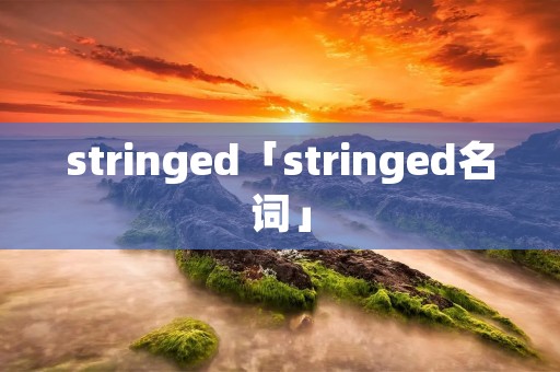 stringed「stringed名词」