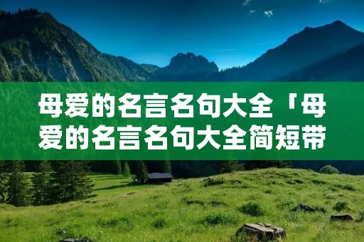 母爱的名言名句大全「母爱的名言名句大全简短带有作者」