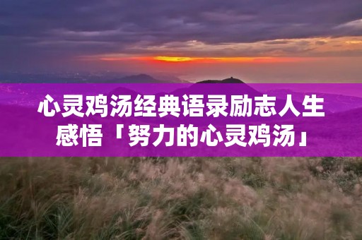心灵鸡汤经典语录励志人生感悟「努力的心灵鸡汤」