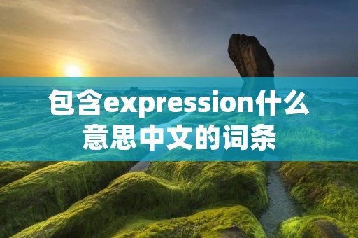 包含expression什么意思中文的词条