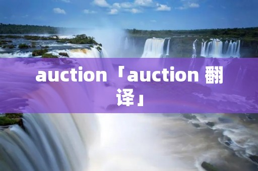 auction「auction 翻译」 auction「auction 翻译」