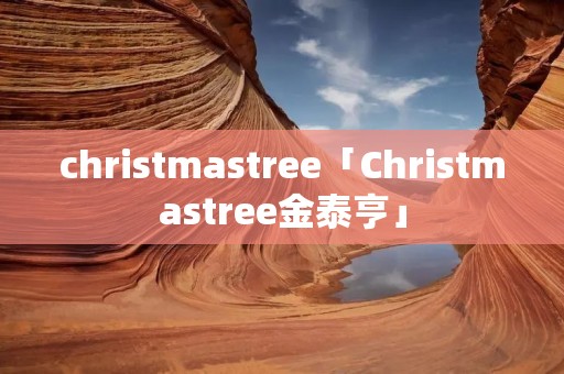 christmastree「Christmastree金泰亨」