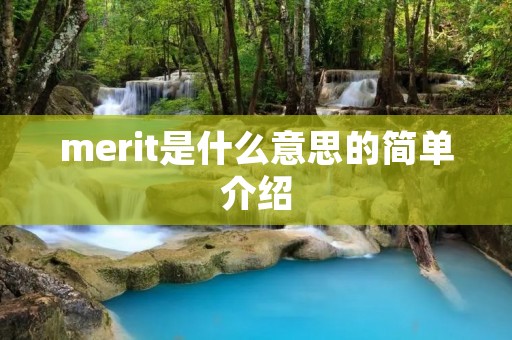 merit是什么意思的简单介绍 merit是什么意思的简单介绍