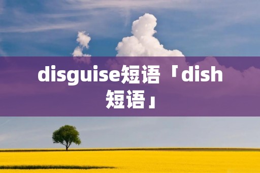 disguise短语「dish短语」