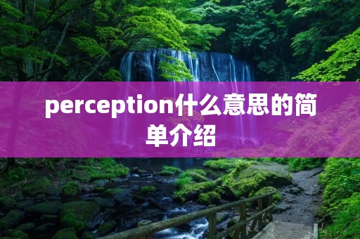 perception什么意思的简单介绍 perception什么意思的简单介绍