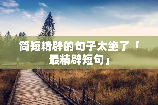 简短精辟的句子太绝了「最精辟短句」
