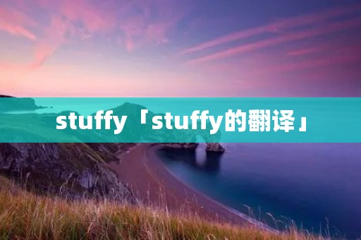 stuffy「stuffy的翻译」