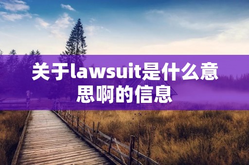 关于lawsuit是什么意思啊的信息