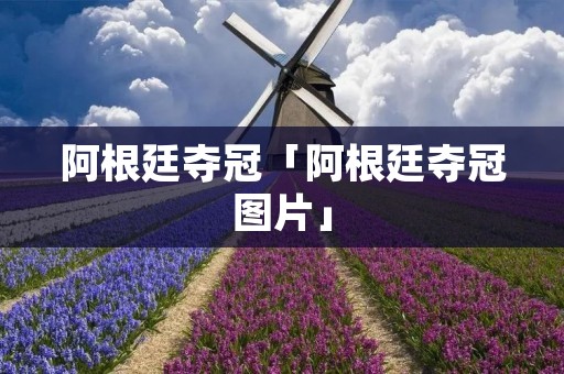 阿根廷夺冠「阿根廷夺冠图片」