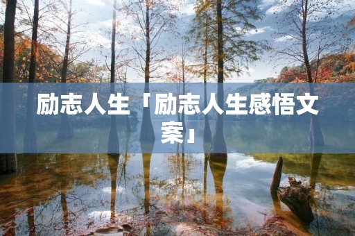 励志人生「励志人生感悟文案」