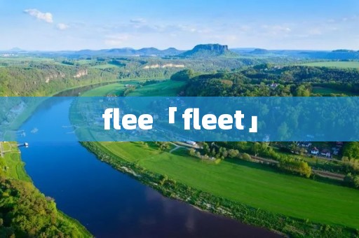 flee「fleet」