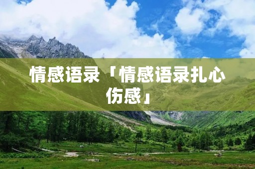 情感语录「情感语录扎心伤感」