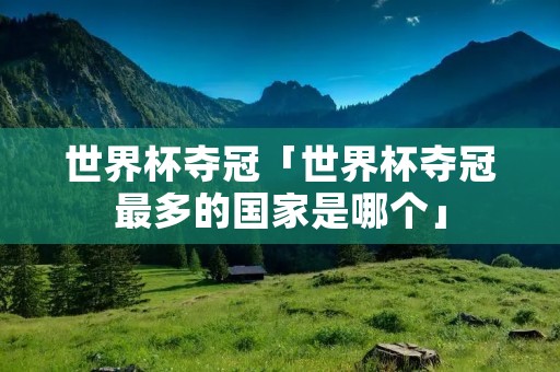 世界杯夺冠「世界杯夺冠最多的国家是哪个」
