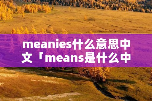 meanies什么意思中文「means是什么中文意思」