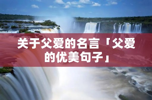 关于父爱的名言「父爱的优美句子」