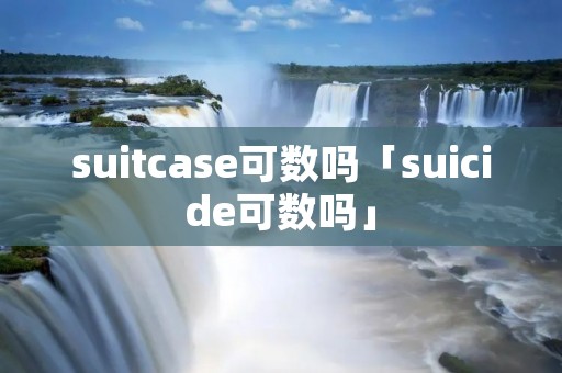 suitcase可数吗「*******可数吗」 suitcase可数吗「*******可数吗」
