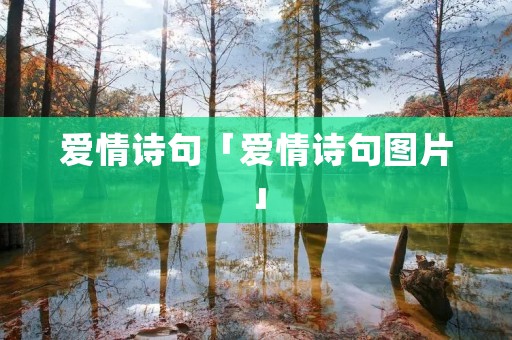 爱情诗句「爱情诗句图片」