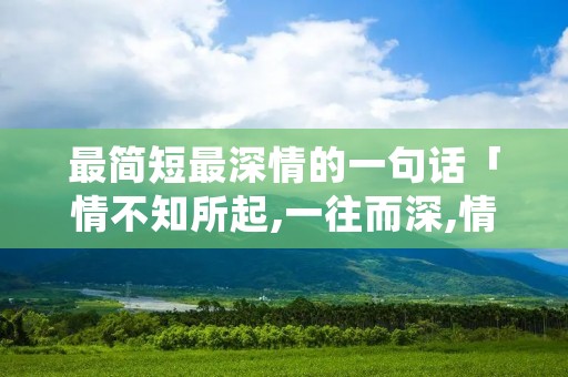 最简短最深情的一句话「情不知所起,一往而深,情不知所终,一往而殆」
