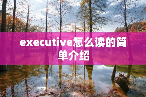 executive怎么读的简单介绍