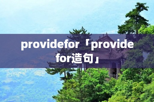providefor「providefor造句」