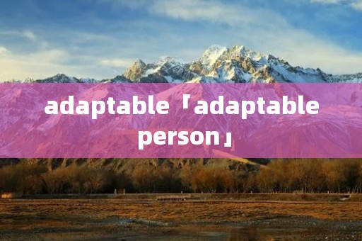 adaptable「adaptable person」