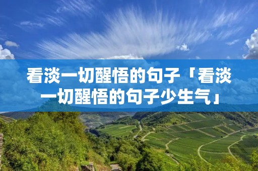 看淡一切醒悟的句子「看淡一切醒悟的句子少生气」
