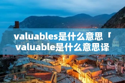valuables是什么意思「valuable是什么意思译」