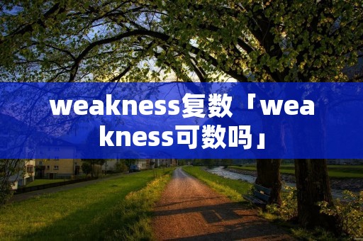 weakness复数「weakness可数吗」